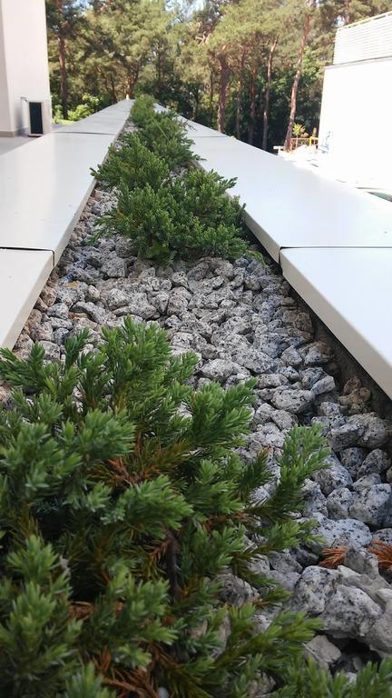 Holiday Home Loft Z Antresola I Balkonem Przy Plazy 미엥지즈드로예 외부 사진